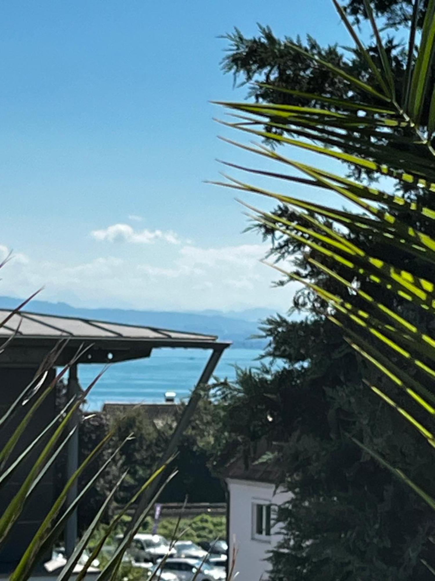Traumhafte Ferienwohnung Mit See Und Bergsicht 腓特烈港 外观 照片